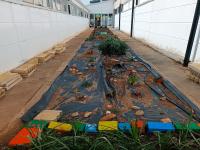 plantacion de peral y flores